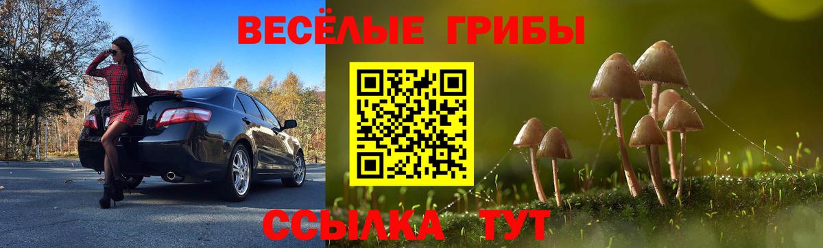 Свободный  Псилоцибиновые грибы Cubensis  Вход с VPN  Галлюциногенные грибы мухоморы 