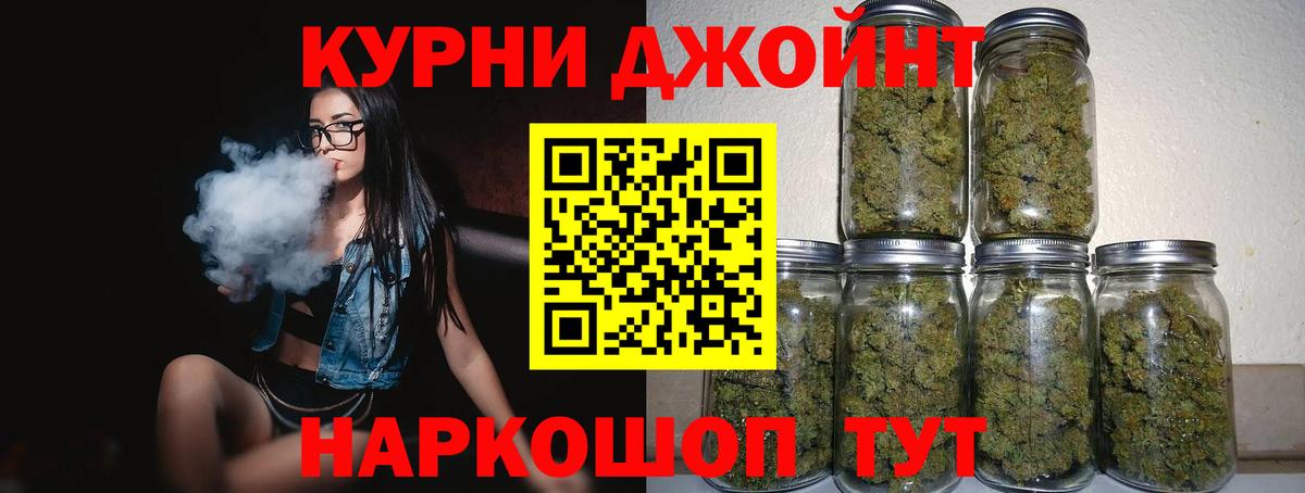 Свободный  Бошки Шишки White Widow  Вход с VPN  Бошки Шишки White Widow  Марихуана планчик  Канабис сатива 